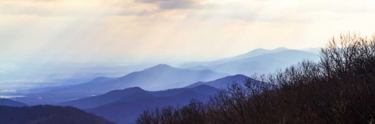 Picture of BLUE RIDGE WINTER II