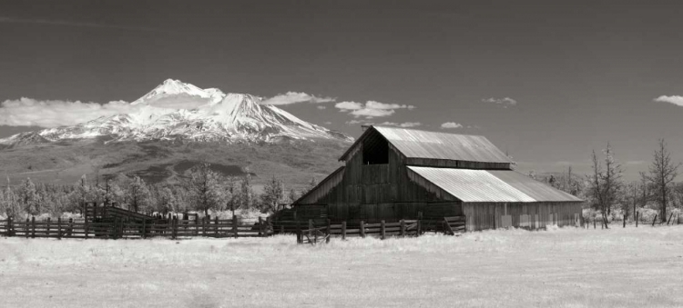 Picture of MT. SHASTA I