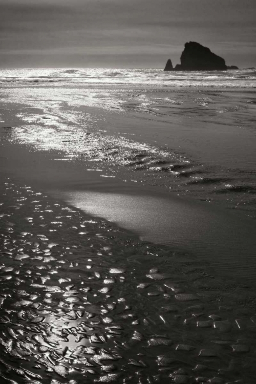 Picture of SEASHORE SERENITY I BW