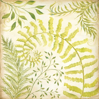 Picture of FERN BOTANICAL II