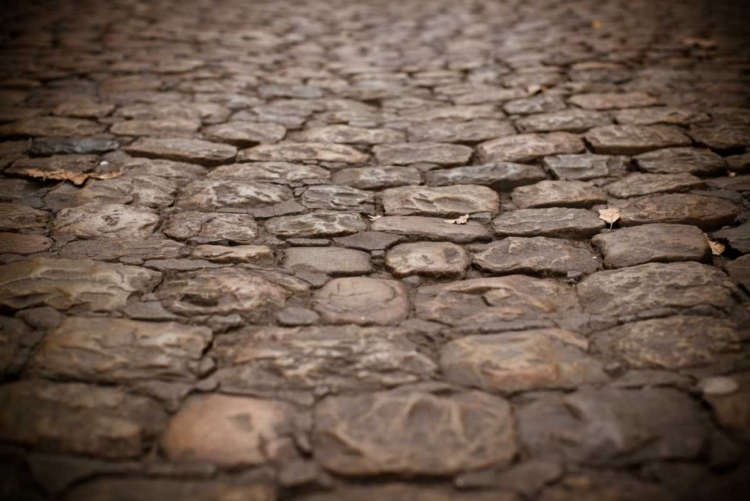 Picture of STONE PATH I