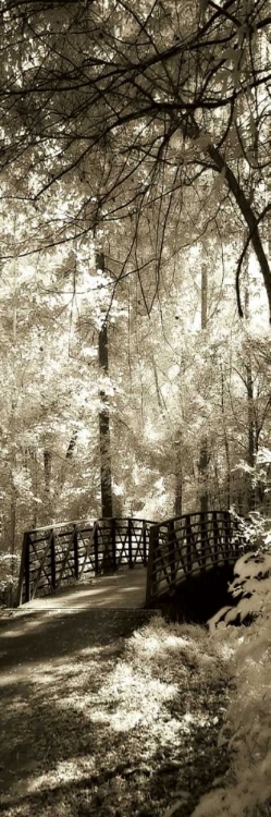 Picture of SUMMER BRIDGE PANEL