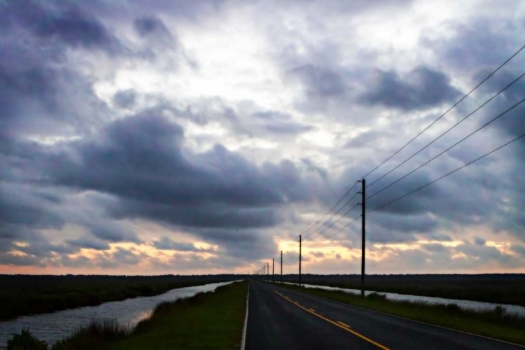 Picture of LONELY ROAD I