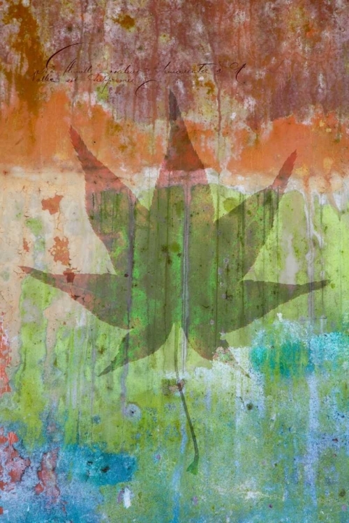 Picture of MAPLE LEAF I