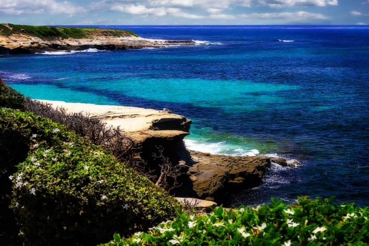 Picture of LA JOLLA BEACH III