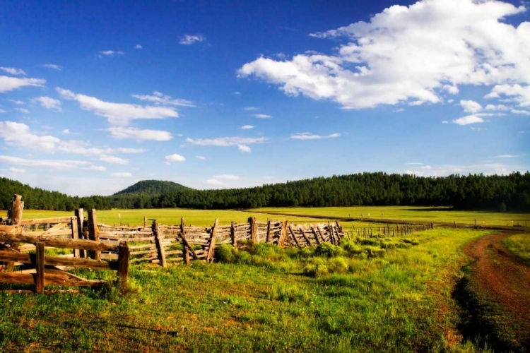 Picture of BIG SKY RANCH I