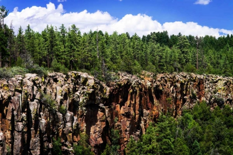 Picture of BONES OF THE EARTH