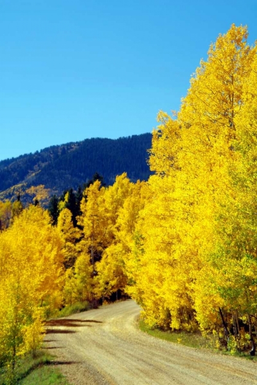 Picture of COLORADO COLOR I