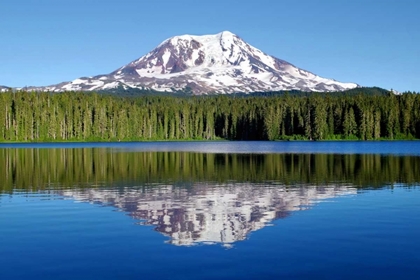 Picture of MT. ADAMS