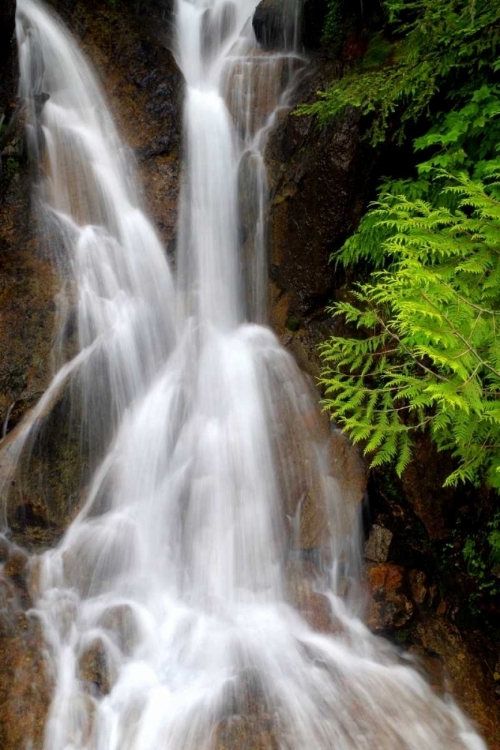 Picture of FALLING WATER I