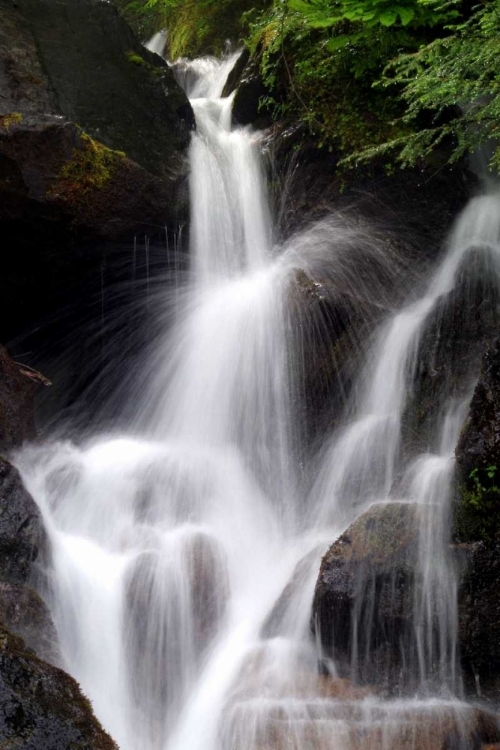 Picture of FALLING WATER II