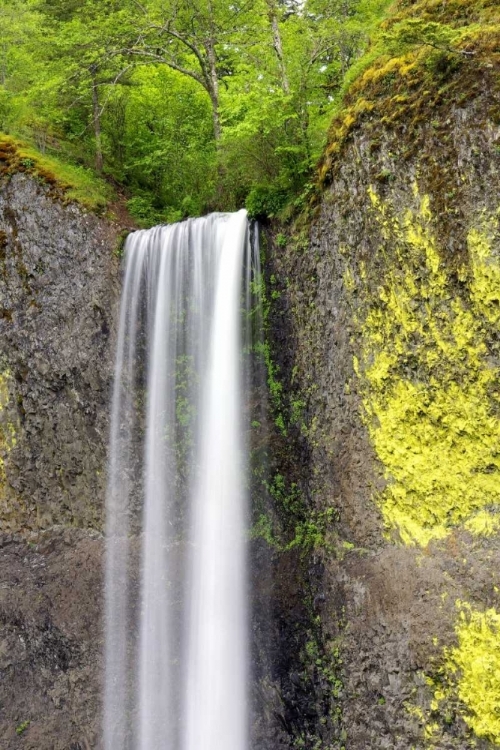 Picture of LATOURELL FALLS