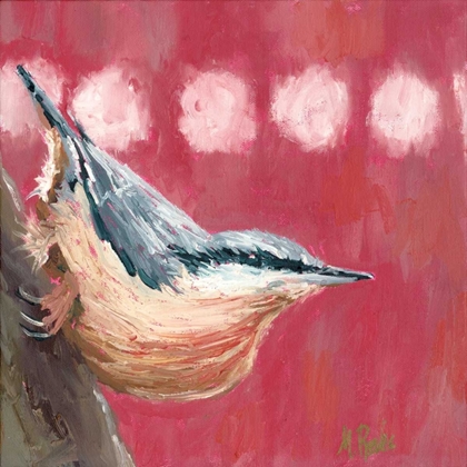 Picture of HOPE NUTHATCH