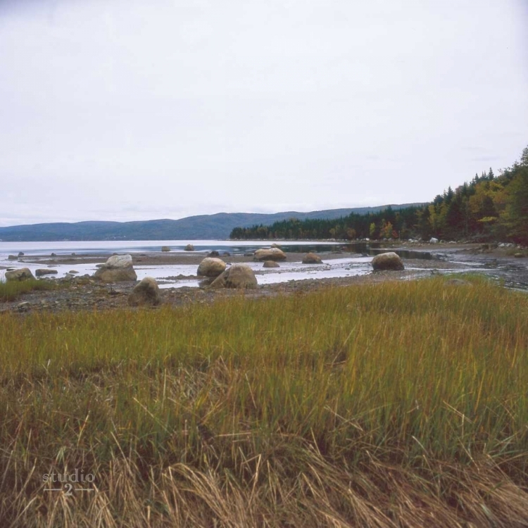 Picture of ESTUARY I