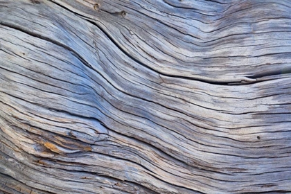 Picture of WEATHERED WOOD III
