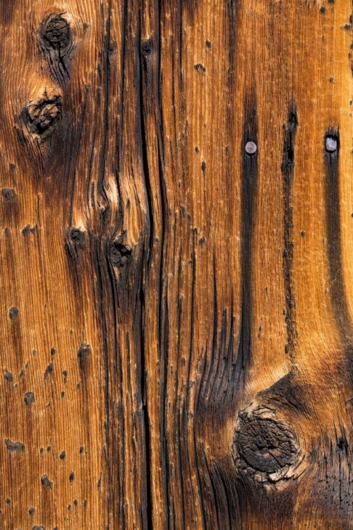 Picture of WOOD DETAIL I