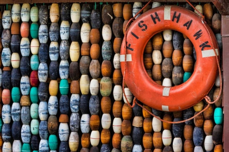 Picture of FISHING IN ALASKA II