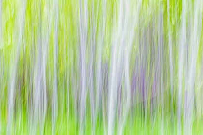 Picture of ASPEN BLUR I