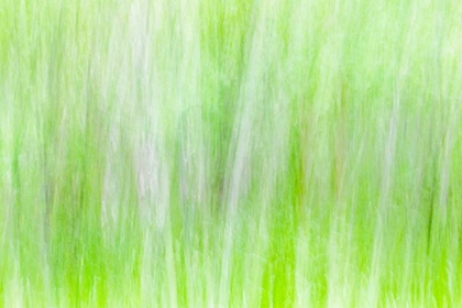 Picture of ASPEN BLUR II