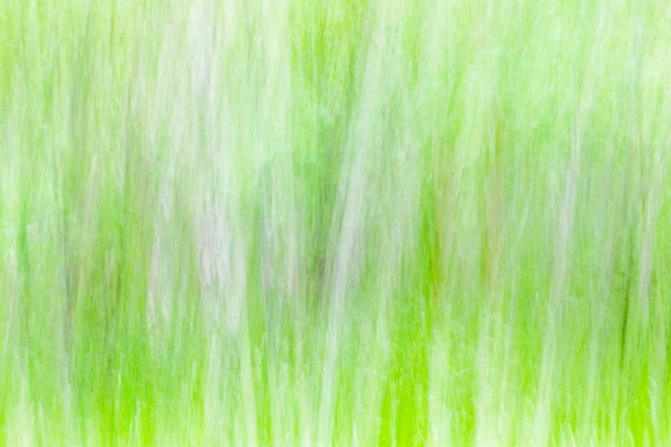 Picture of ASPEN BLUR II