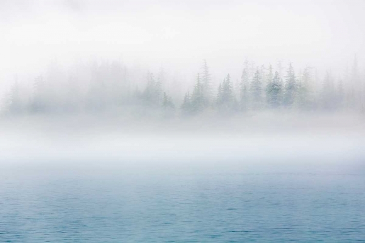 Picture of ALASKA FOG I