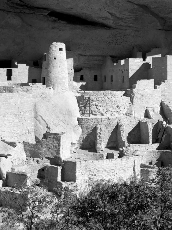 Picture of CLIFF PALACE PUEBLO PORTRAIT BW