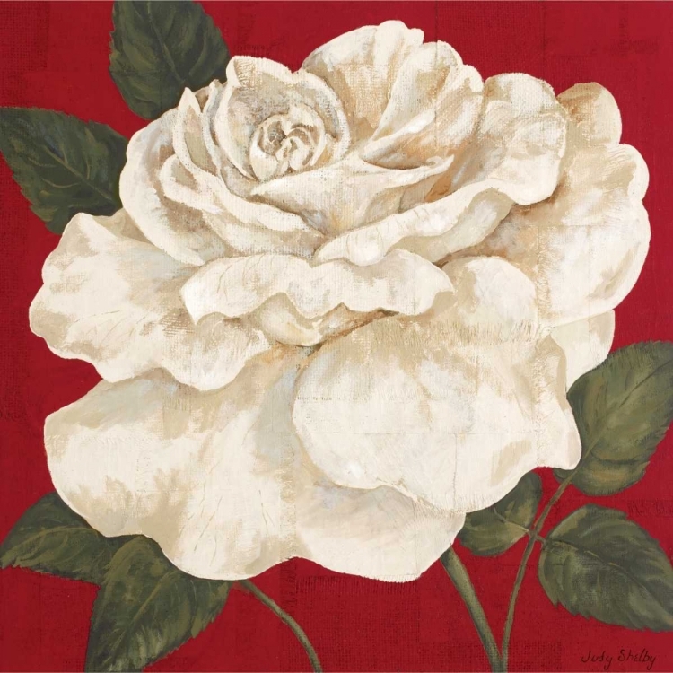 Picture of ROSA BLANCA GRANDE II