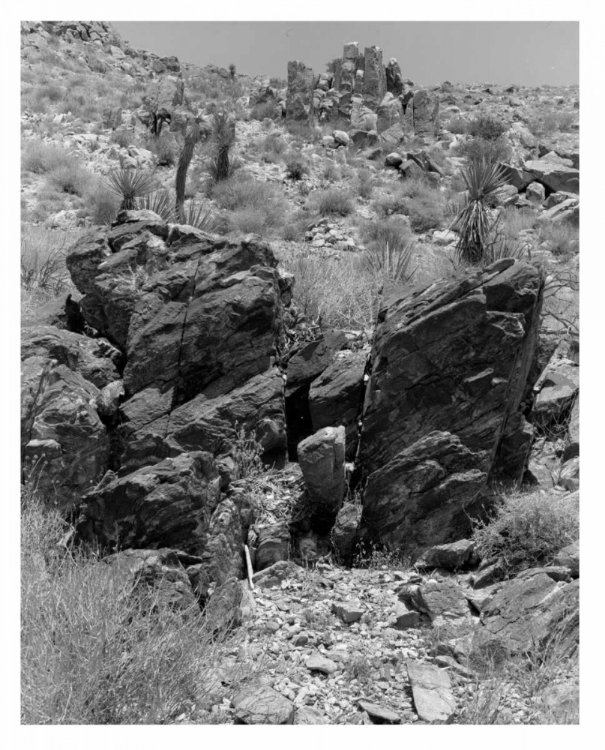 Picture of TWENTYNINE PALMS, SAN BERNADINO, C1910