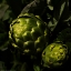 Picture of GREEN ARTICHOKES