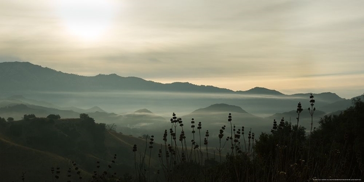 Picture of FOG IN THE MOUNTAIN