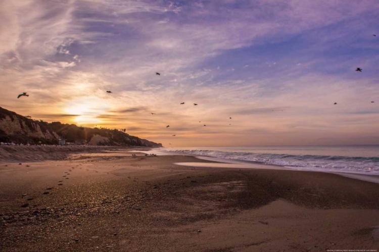 Picture of MORNING BEACH WALK