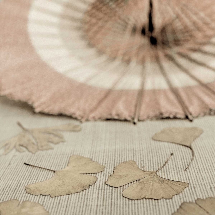 Picture of PARASOL AND GINGKO - 2