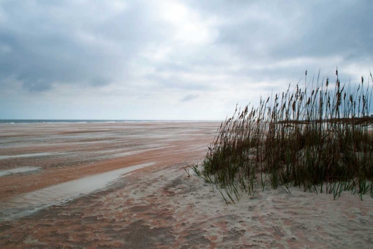 Picture of SAND DUNES II