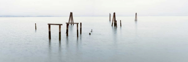 Picture of VINTAGE PIER IN THE MIST