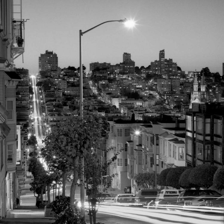 Picture of SAN FRANCISCO SKYLINE - 2