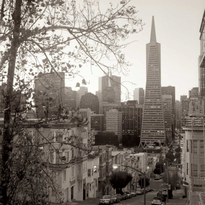 Picture of SF SKYLINE - 3