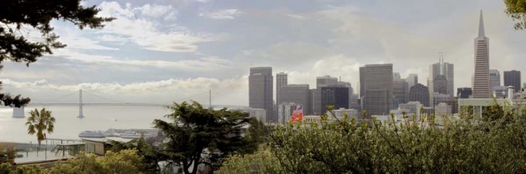 Picture of SF SKYLINE PANO - 110