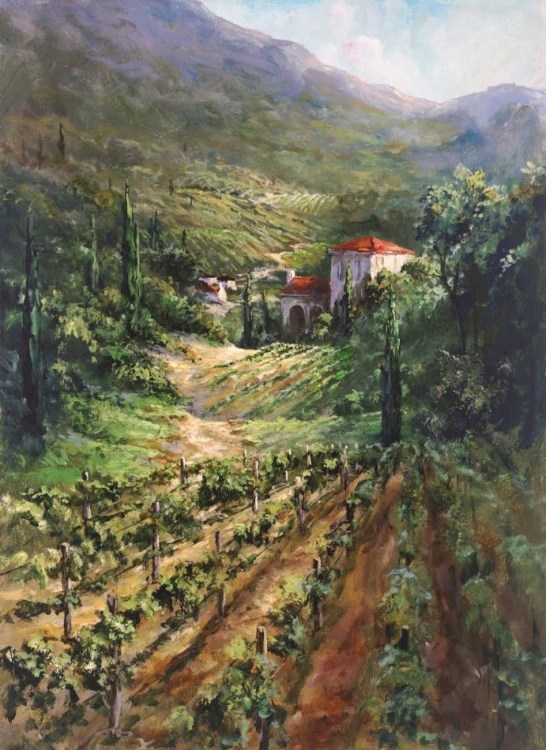 Picture of TUSCANY VINEYARD