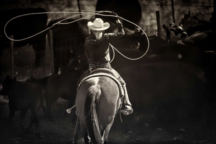 Picture of AMERICAN COWGIRL