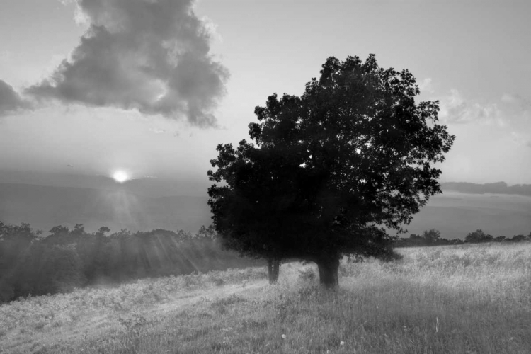 Picture of SPITLER KNOLL OVERLOOK