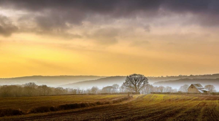 Picture of THE FARM