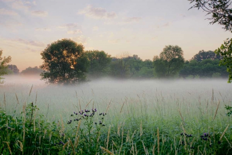 Picture of WESTERN PLAINS SUNRISE