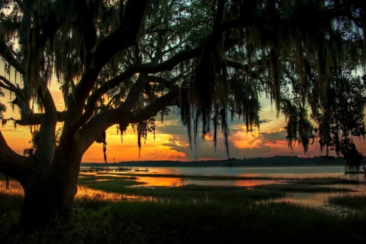 Picture of SAVANNAH EVENING