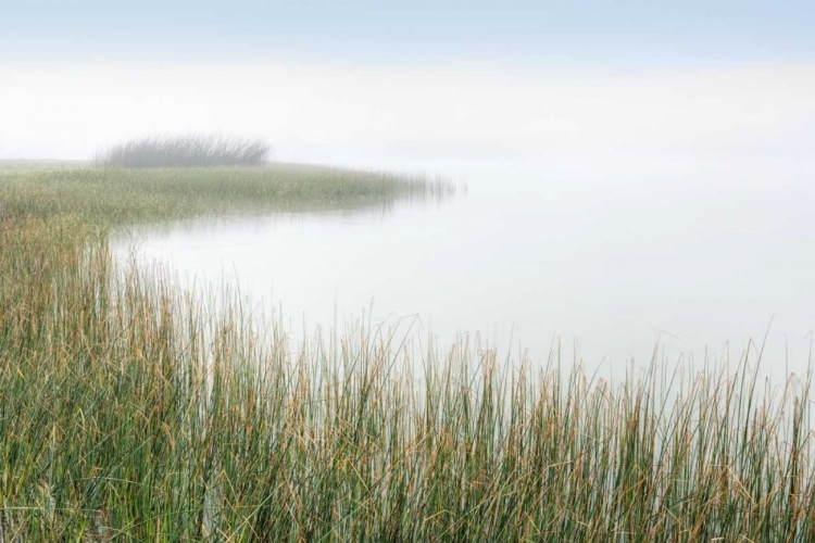 Picture of CRESCENT BEACH CALM 2