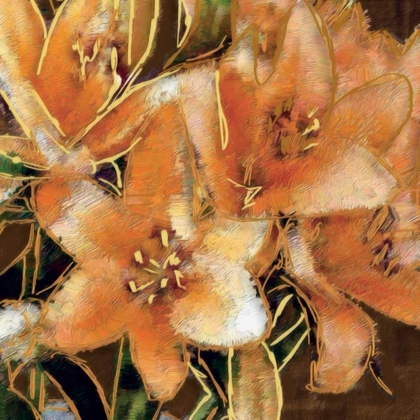 Picture of APRICOT DREAM I