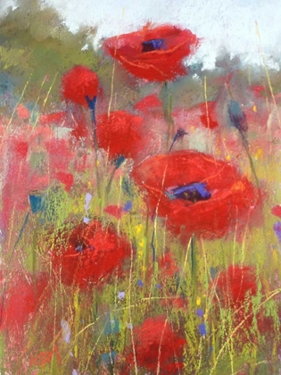 Picture of IN THE POPPY FIELD