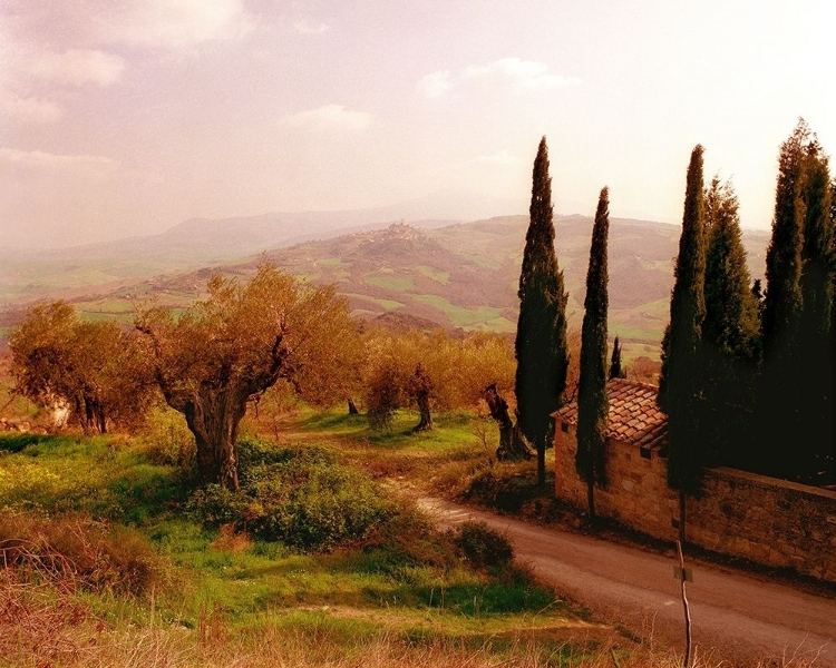 Picture of TOSCANA, ITALIA NO. 709