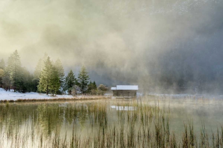 Picture of FIRST TOUCH OF SNOW