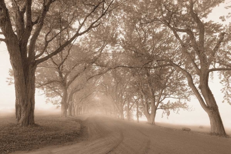 Picture of GUARDIANS OF THE ROAD