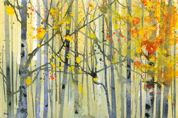 Picture of AUTUMN BIRCHES